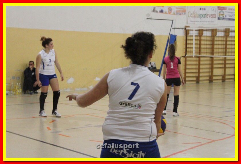 140305 Primula 112_tn.jpg